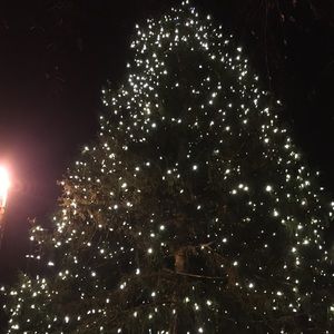 Meet your Posher, Sherly